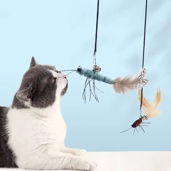 Jouet pour chat plume chats bâtons interactif chat jouet fil d'acier papillon jouets pour chats taqu
