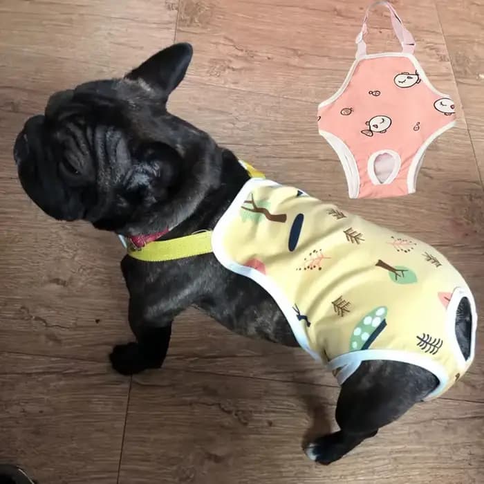 Pantalon physiologique réglable pour bouledogue français, sangle initiée par l'animal de compagnie,