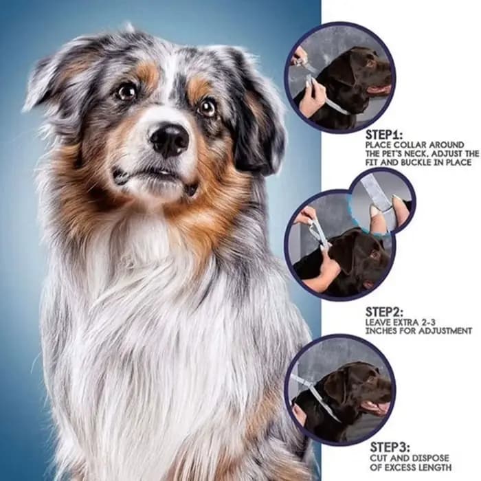 Collier de Protection Rétractable pour Animaux de Compagnie, Accessoire Anti-puces, Tiques, Antipara