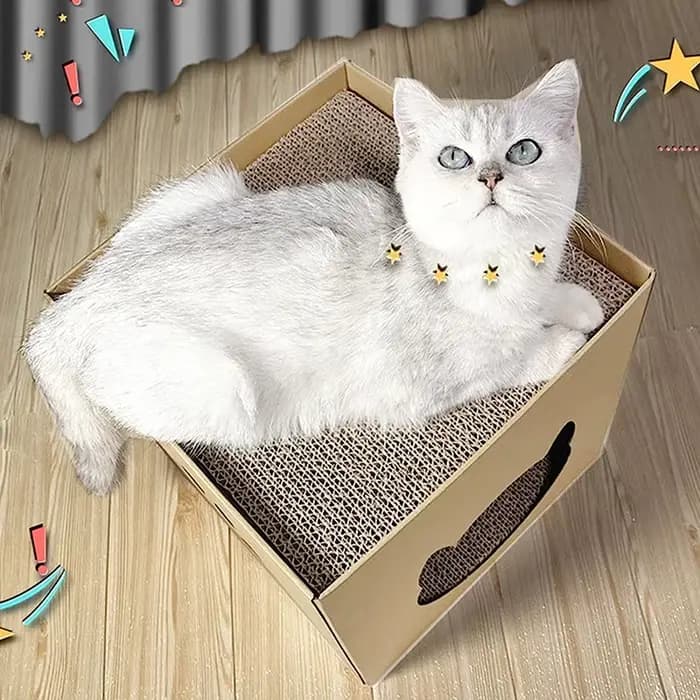 Planche à gratter pour maison de chat, maison pliante pour animaux de compagnie avec tampons à gratt