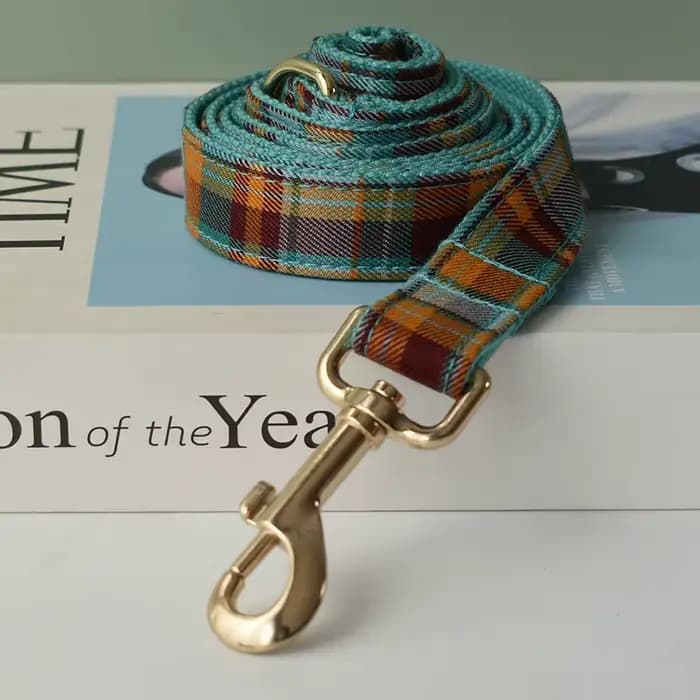 Accessoires pour animaux de compagnie : Ensemble collier, laisse et harnais pour chien personnalisé,