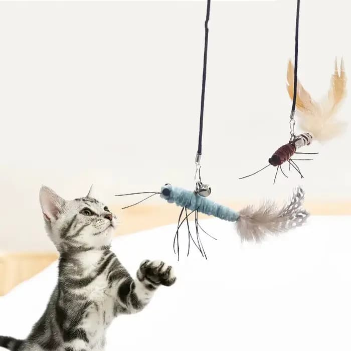 Jouet pour chat plume chats bâtons interactif chat jouet fil d'acier papillon jouets pour chats taqu