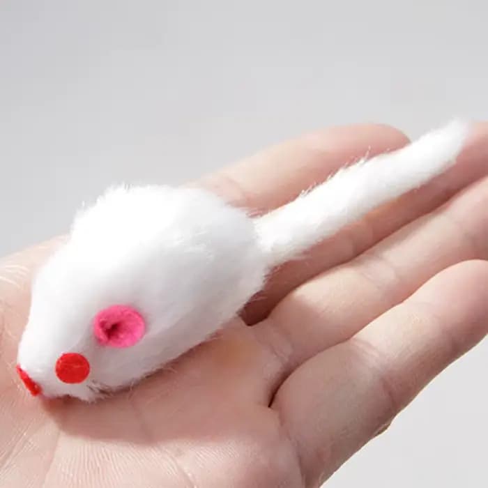 Jouet en peluche pour chat, 5 pièces, souris interactive douce et solide, jouets pour chaton drôle,