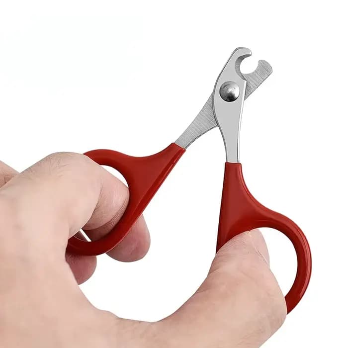 Ciseaux à ongles professionnels pour chat, coupe-ongles pour chien, coupe-ongles pour orteils, fourn