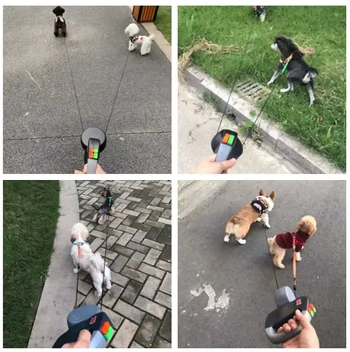 Double laisse rétractable extensible pour chiens, laisse automatique réfléchissante de 3M pour anima
