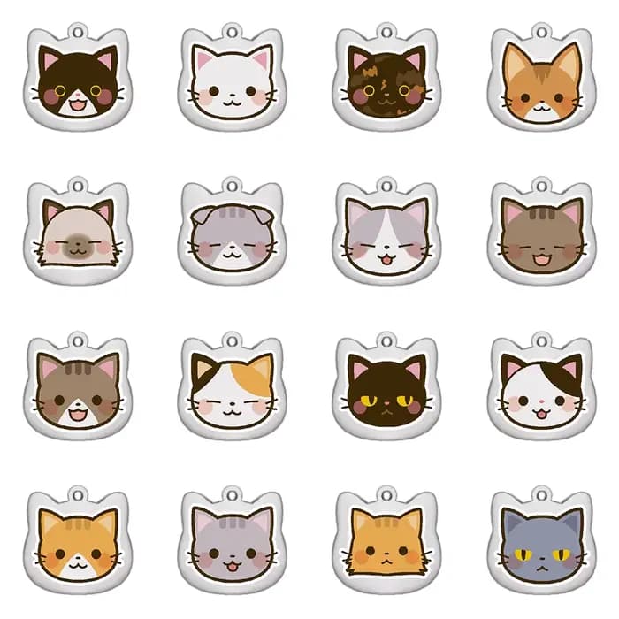 Étiquettes de chat personnalisées mignonnes en acier inoxydable, motif coloré, étiquettes de nom de