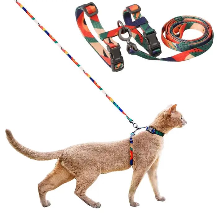Ensemble harnais et laisse pour chat, harnais réglable anti-évasion pour chaton, pour grands et peti