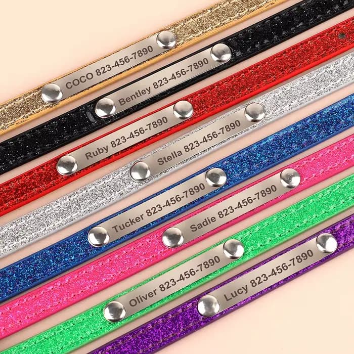 Collier d'identification Anti-perte pour chat, collier personnalisé pour chiot et chat, étiquette de