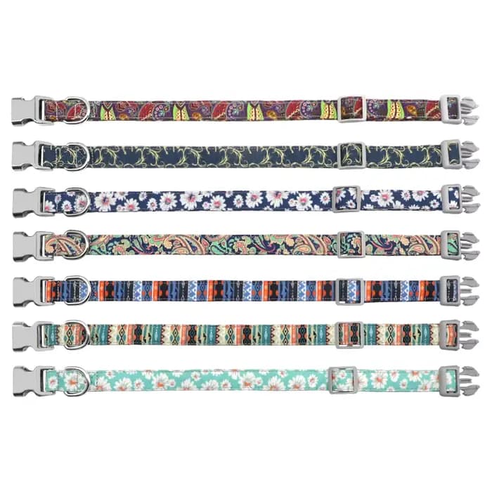 Collier de chien personnalisé personnalisé chien de compagnie identification nom étiquette accessoir