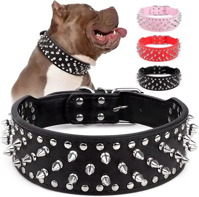 Grand collier de chien à pointes pour les races moyennes et grandes L-3XL Pitbull Mastiff Boxer cuir