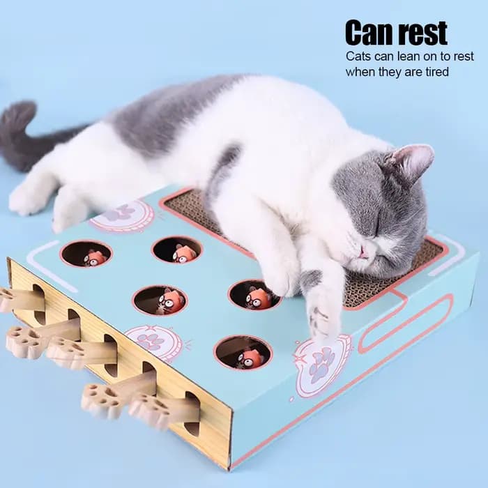 Boîte de jeu pour chat, labyrinthe interactif éducatif, frappé Gophers, bâton de chat drôle 3 en 1,