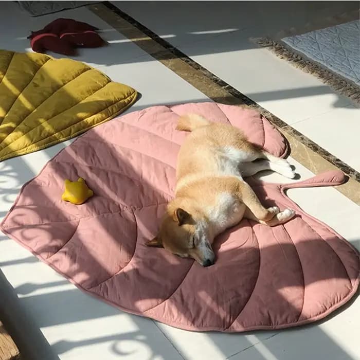 Tapis de feuilles rafraîchissantes pour chien, tapis d'été pour chiens, couverture pour chat, canapé