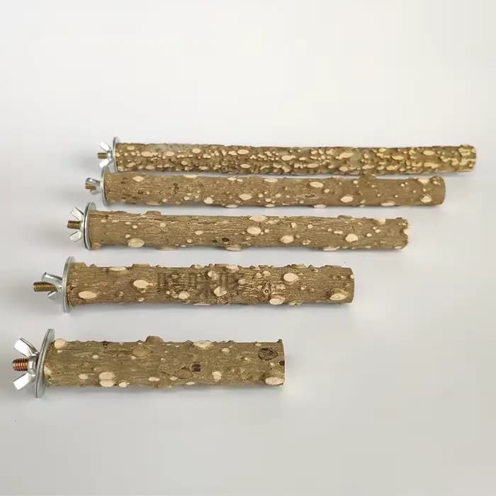 Barre de meulage de bec de griffe d'oiseau 10/15/20 cm, bâton debout, fournitures pour oiseaux, acce