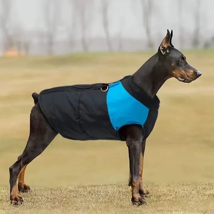 Hiver chaud chien gilet veste S-7XL vêtements pour animaux de compagnie pour petits moyens grands ch