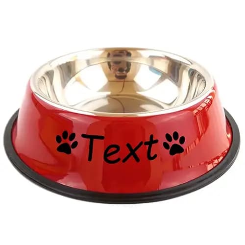 Nom personnalisé chien chat bol en acier inoxydable animal de compagnie coloré eau nourriture anti-d