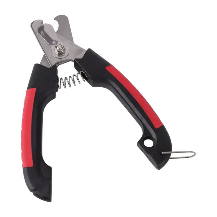 Coupe-ongles pour oiseaux en acier inoxydable, outil de toilettage pour perroquets, taille en option