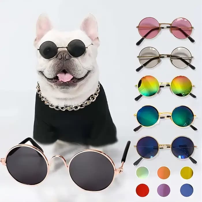 Lunettes de soleil rondes Vintage pour chat, jolies lunettes à réflexion pour petit chien, chat, Pho