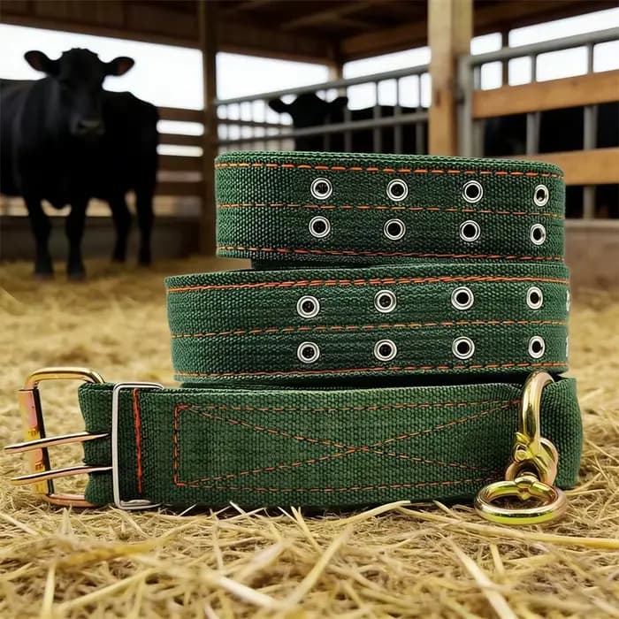 Cravate d'assurage solide et Durable, collier de transport de vache réglable, fourniture d'alimentat