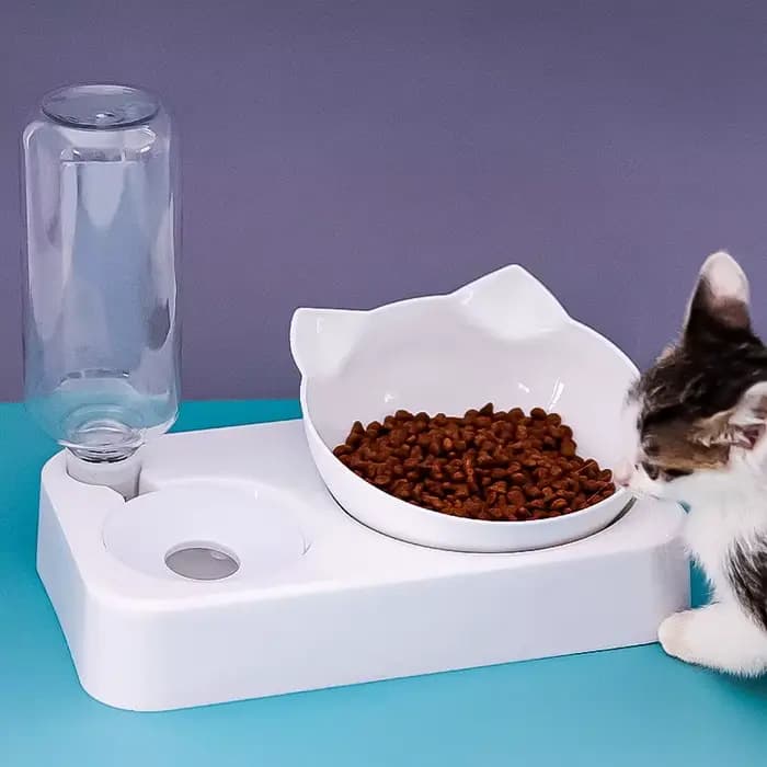 Mangeoire automatique pour animaux de compagnie, mangeoire pour chien, inclinaison pour protéger les