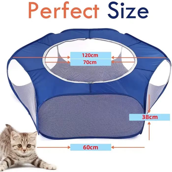Petite Cage transparente Portable pour animaux de compagnie, tente pour chat et chien, parc pour ani