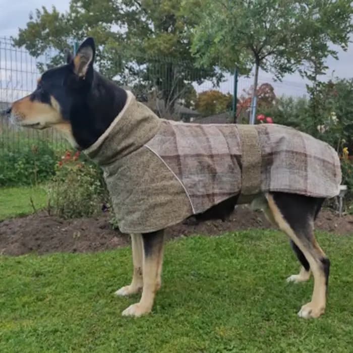 Vêtements d'hiver chauds en polaire pour grands chiens, veste pour animaux de compagnie à imprimé éc