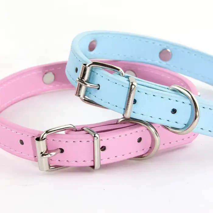 Colliers de chien de compagnie durables en cuir de patte colliers de carlin de chiot pour petit gran