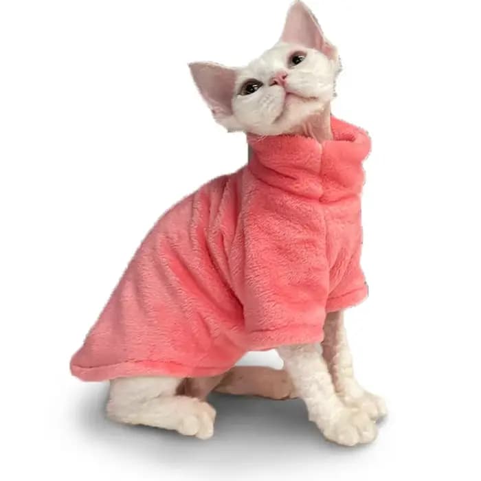 Vêtements à la mode pour chats Sphynx chat pull chaton vêtements chien à capuche vêtements pour Sphi