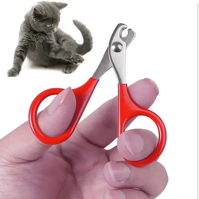 Ciseaux à ongles pour chat et chien, coupe-ongles pour orteils, produits professionnels de toilettag