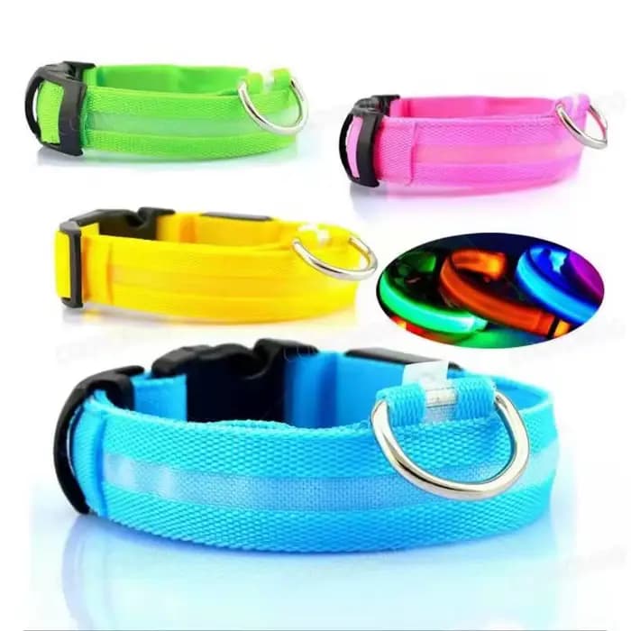 3 Modes chien collier de Charge lumineux Led Usb chat chiens colliers détachable nuit Led lueur chie