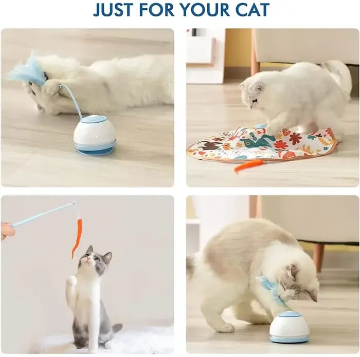 Jouet électrique pour chat, chargement USB, Puzzle interactif rotatif à 360 degrés, articles intelli