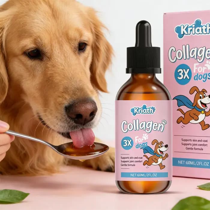Gouttes de collagène pour animaux de compagnie : Maintien efficace de la santé du cartilage, soutien