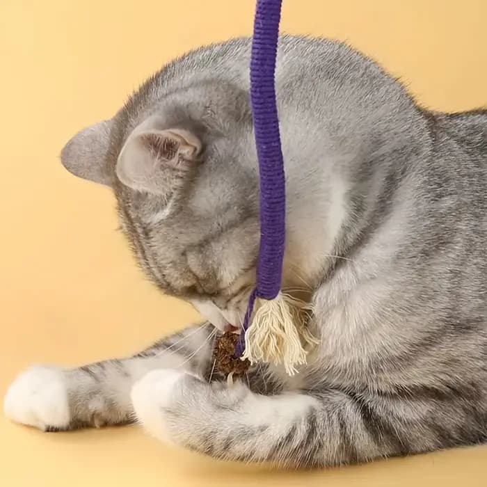 Silvervine-Jouet coule pour chat, ULmolaire en coton, bouche propre, jeu pour chaton