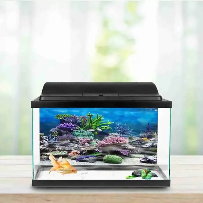 Affiche de paysage d'aquarium 3D, papier peint de forêt tropicale, décoration de fond précieux de po