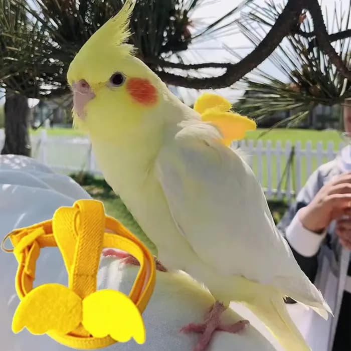 Harnais pour oiseaux à câble Long, laisse Anti-morsure, corde d'entraînement décorative légère pour