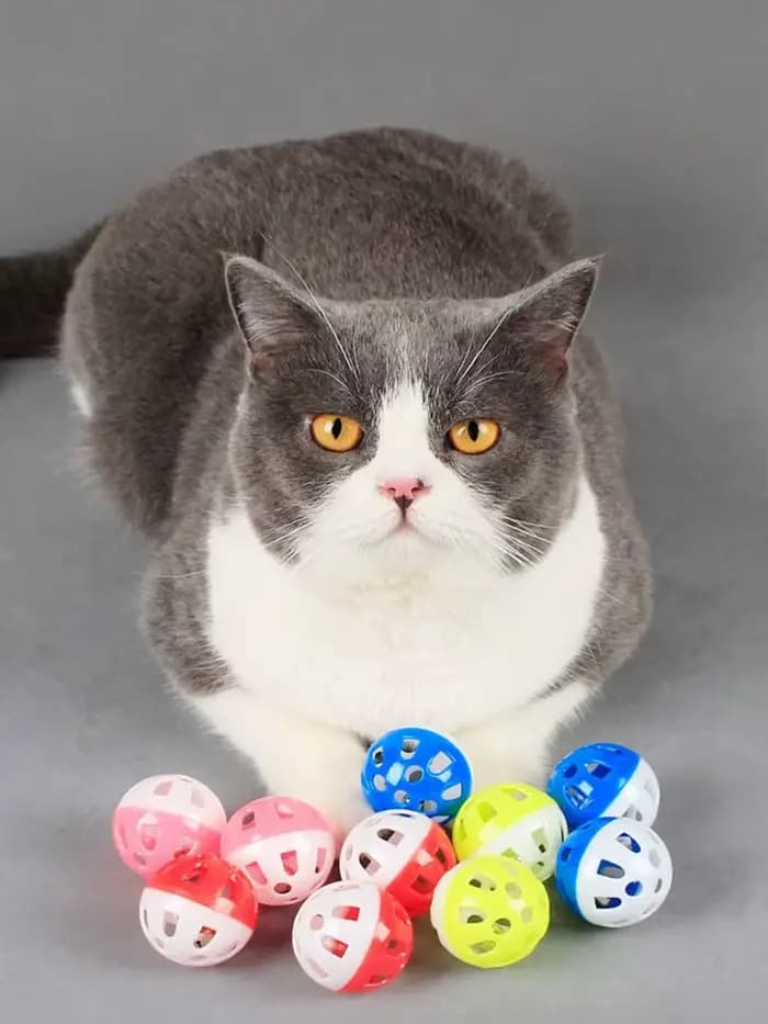 Jouet coule avec cloche sonore pour chat, boule en plastique multicolore, jouet creux mignon, fourni
