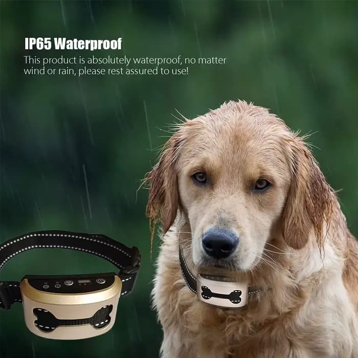 Garde Anti-aboiement pour chien de compagnie, étanche, Auto, Anti-aboiement humain, collier anti-abo