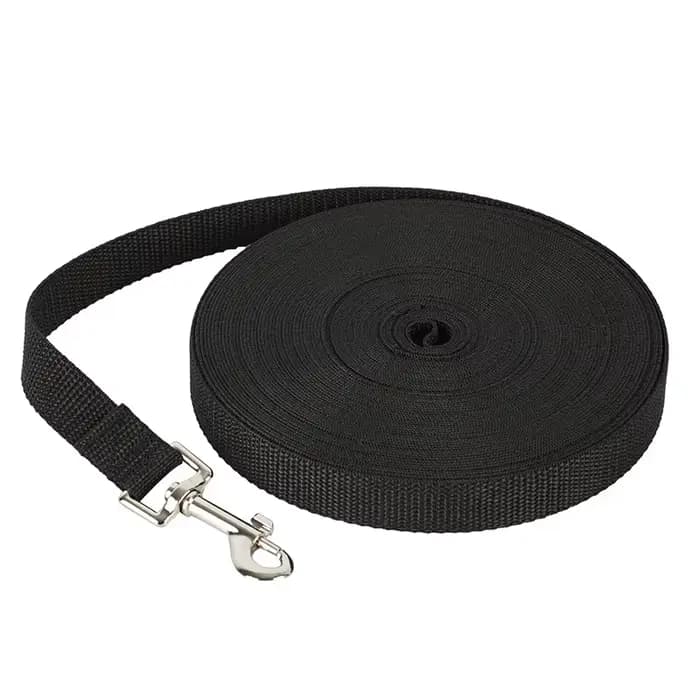 Laisse en nylon pour chien de compagnie, laisse pour petits et moyens chiens, chats, chiot, marche,