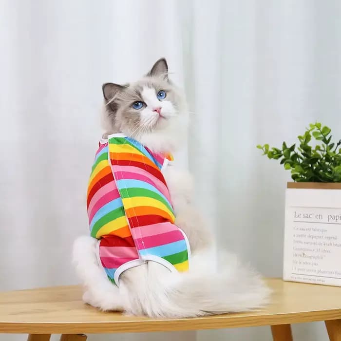 Combinaison de stérilisation pour chat, combinaison pour petits chiens et chats, vêtements de récupé