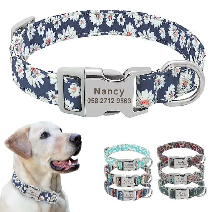 Collier de chien personnalisé personnalisé chien de compagnie identification nom étiquette accessoir