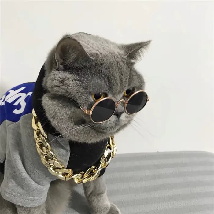 Lunettes de soleil rondes Vintage pour chat, lunettes réfléchissantes, produits pour animaux de comp