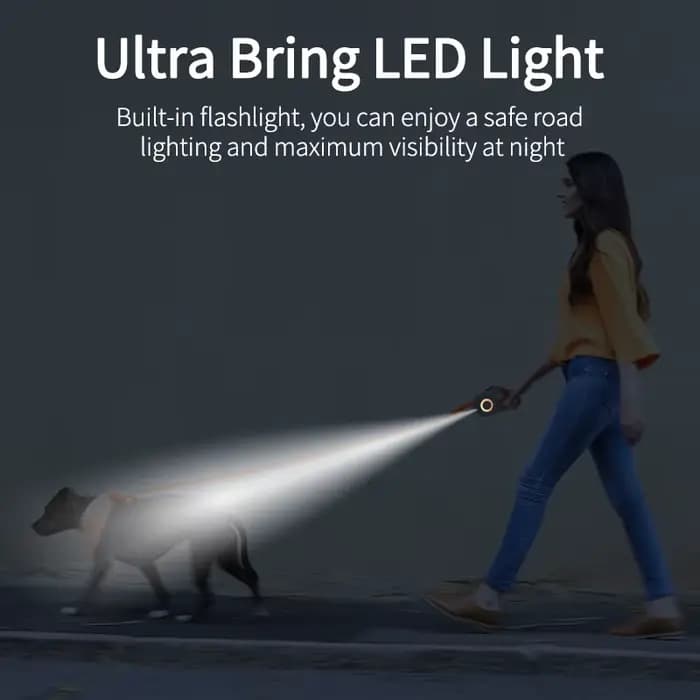 ROJECO 5M automatique rétractable chien laisse LED lumineux leader mode sangles lumineuses pour chie