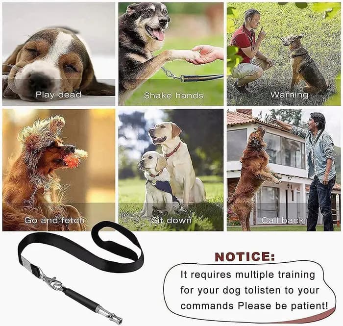 Sifflet ultrasonique pour chiens, pour arrêter d'aboyer, entraînement, accessoires pour animaux de c