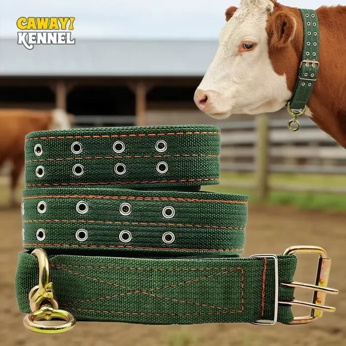 Cravate d'assurage solide et Durable, collier de transport de vache réglable, fourniture d'alimentat