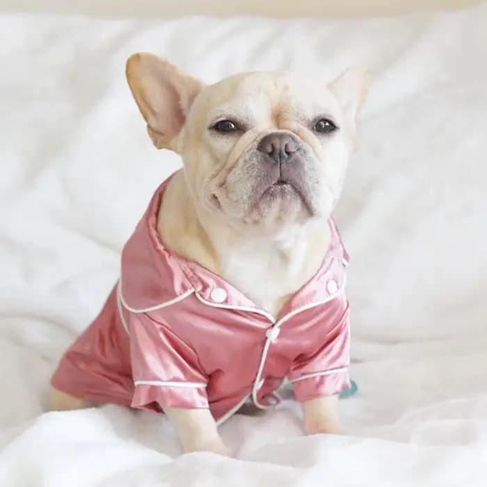 Pyjama doux de luxe pour chien de compagnie, pyjama bouledogue français, manteau pour animaux de com