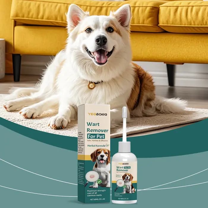 Gouttes anti-puces pour chat, élimine les poux, soulage les démangeaisons de la peau, répulsif d'ins
