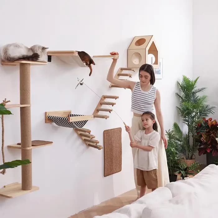 Étagère d'escalade murale pour chat, marches, échelle, poste à gratter, lit caché, maison pour chats