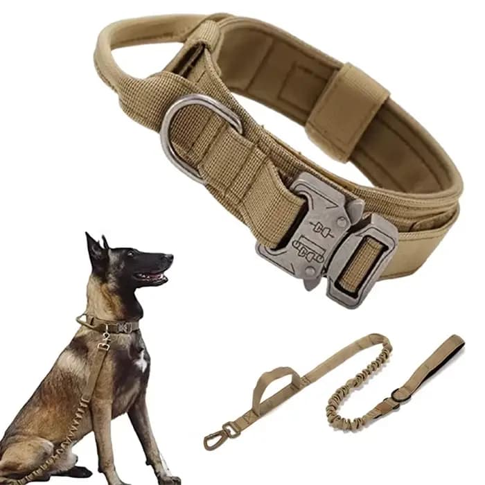 Ensemble collier et laisse tactiques militaires pour chien, collier durable pour animaux de compagni