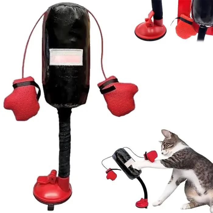 Sac de boxe de dessin animé pour chat, jouet d'intérieur ennuyé pour chats adultes, jouets interacti
