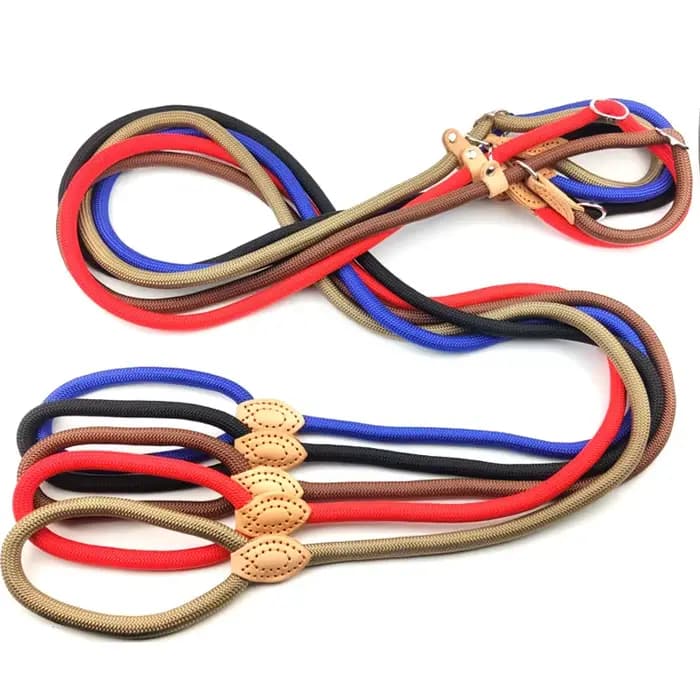 Harnais de collier réglable, laisse pour chien, laisse en Nylon pour animaux de compagnie, ceinture