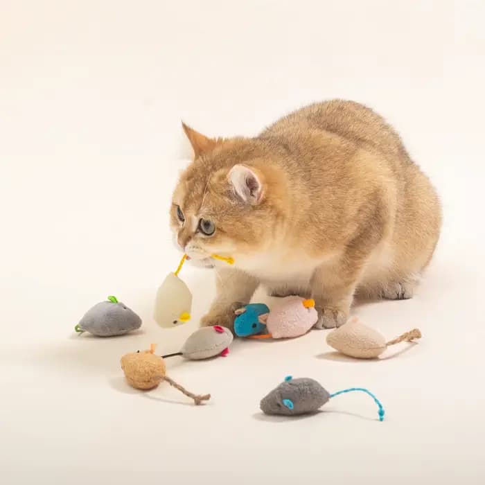 Jouet en peluche amusant pour chat, souris interactive douce et solide, jouets pour chaton drôle, ch